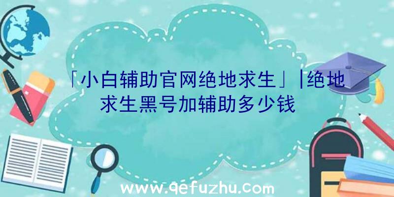 「小白辅助官网绝地求生」|绝地求生黑号加辅助多少钱